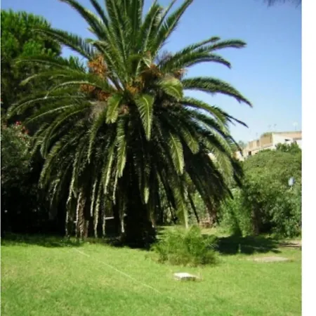 La Terrazza *